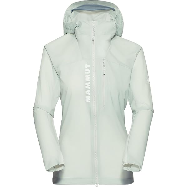 Mammut Women's Arctic IV ML Hooded Jacket, Marine Melange, XS at